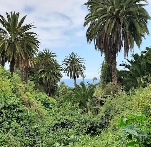 Appartamento Exotic Ocean View Los Realejos