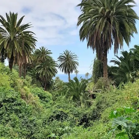 アパート Exotic Ocean View ロス・レアレホス