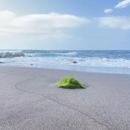 Exotic Ocean View * ロス・レアレホス