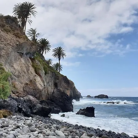 Exotic Ocean View ロス・レアレホス