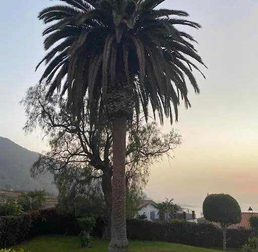 Daire Exotic Ocean View