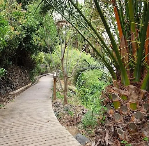 Daire Exotic Ocean View