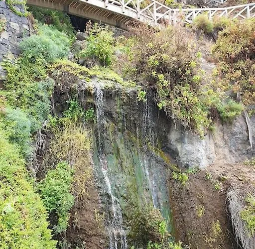 Daire Exotic Ocean View *