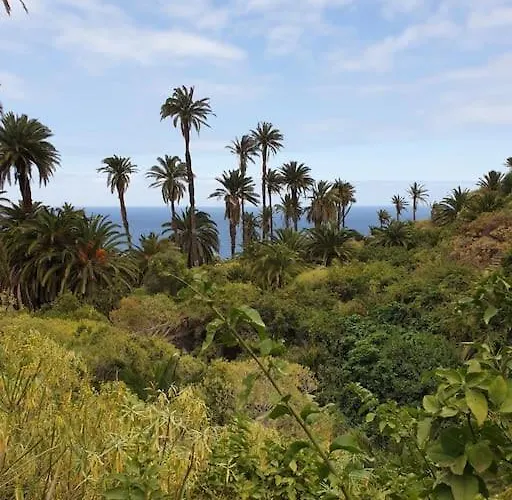 Exotic Ocean View Daire